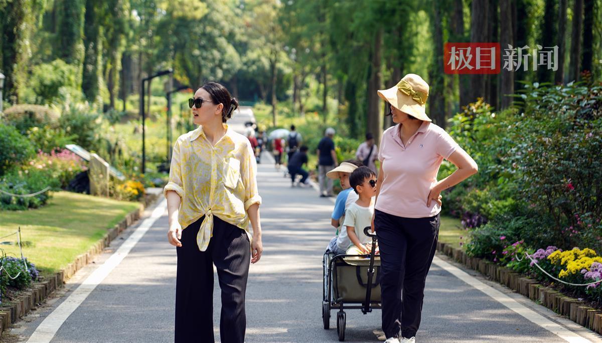 山东福利彩票官方网站